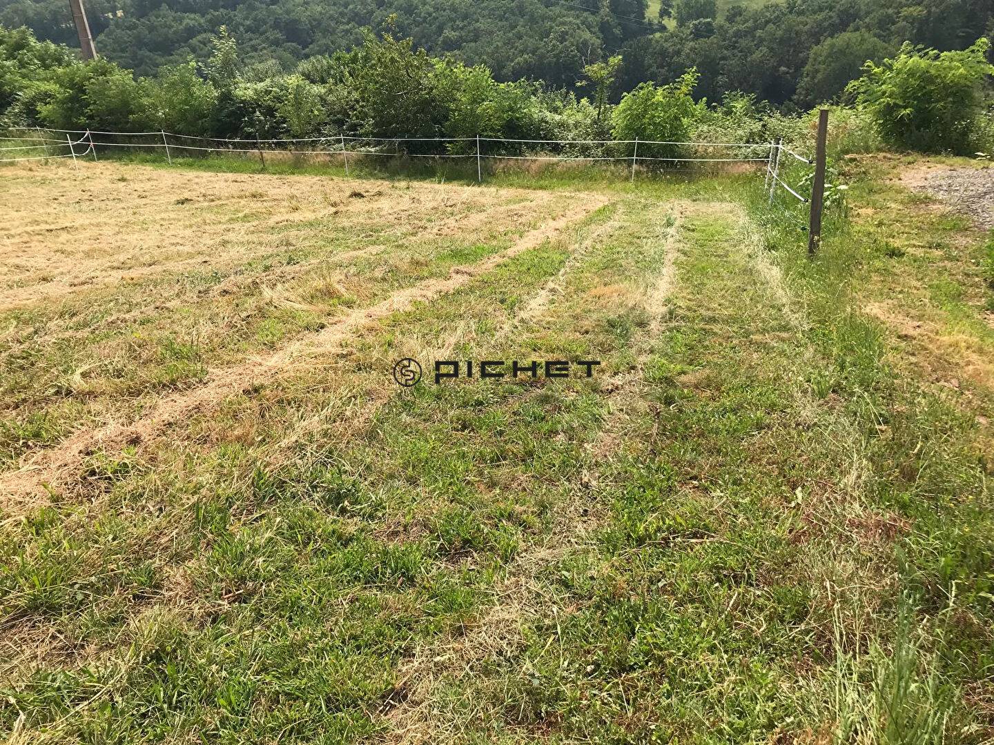 Image #11906 - 0
