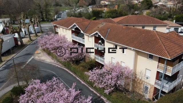 Image #1107 - 1