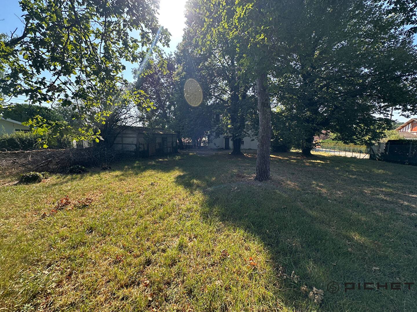 Image #16116 - 3