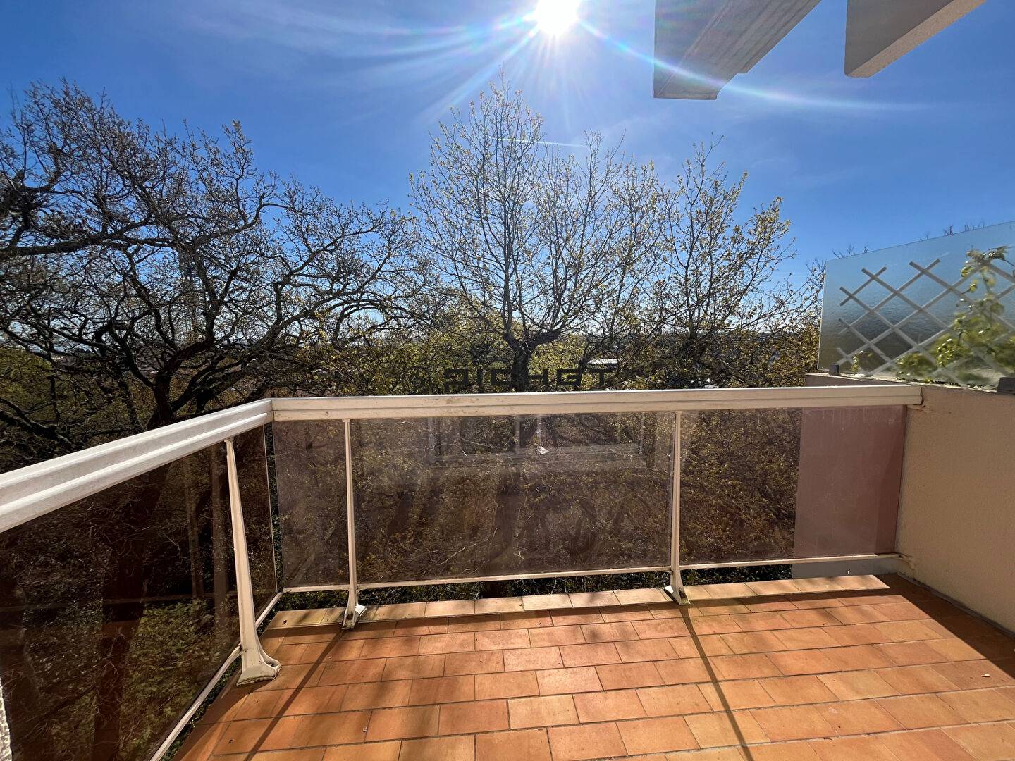 Image #15698 - 1