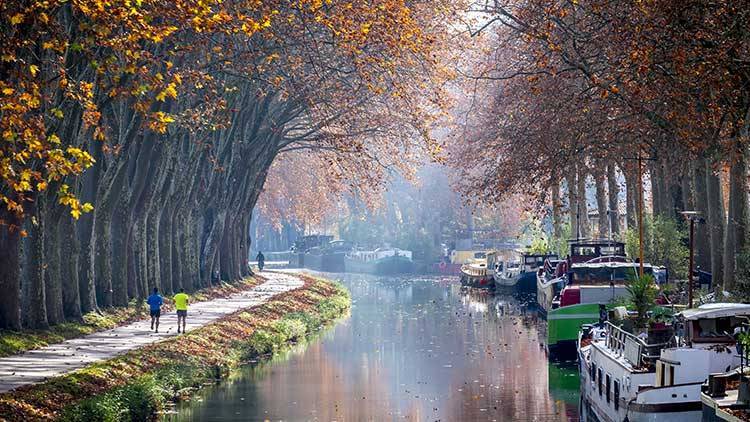 investir toulouse